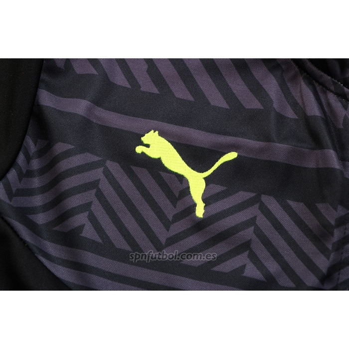Chandal de Chaqueta del Borussia Dortmund 2022-2023 Gris